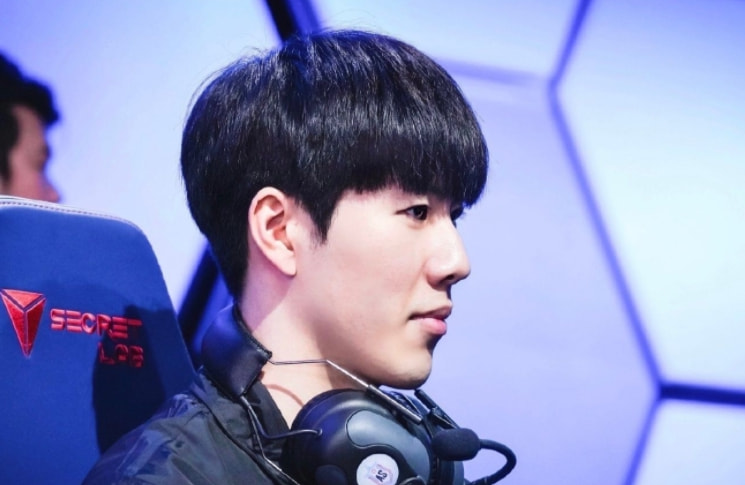 专家建议在 专家建议在